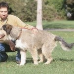 How to House-Train Your Pets