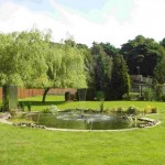 How to Have a Natural Garden