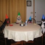 How to Host the Ultimate Dog Party