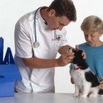 How to Tell if a Dog Has Parvo