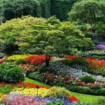 How to Keep Records Effectively in your Organic Gardens
