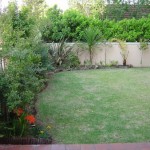 How to Grow your Organic Gardens under Cover