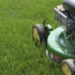 How to Have a Healthy Lawn Naturally