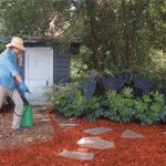 How to Do Mulching in Organic Gardens 