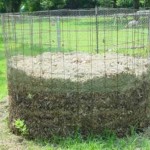 How to Make a Good Compost Heap in an Organic Garden 