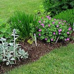 How to Make a Place for your Organic Herbs in your Garden