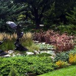 How to Winterize your Perennial Plants