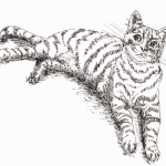 How to Draw a Cat