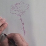 How to Draw a Rose