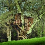 How to Build a Tree House
