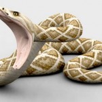 How to Avoid Attacks from Rattesnakes