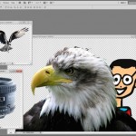 How to Clean Up Backgrounds in Photoshop