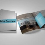 How to Create a Sales Brochure