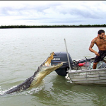 How to Survive an Alligator or Crocodile Attack