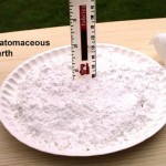 How to Use Diatomaceous Earth