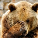 How to Prevent a Bear from Attacking You