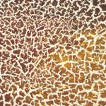 How to Apply a Crackle Finish to the Floor
