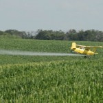 How to Safely Use Pesticides