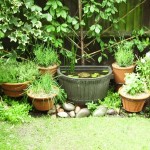 How To Maintain Potted Herb Gardens