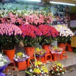 How to Start a Flower Shop