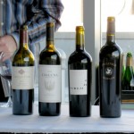 How to Enjoy the True Taste of Merlot Wine