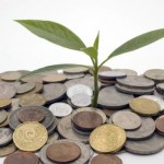 How to Make a Money Tree for a Party
